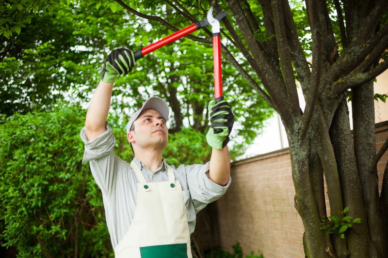 Lawn and Tree Service Providers