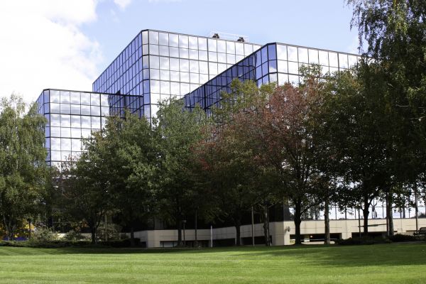 Commercial Tree Trimming in Bountiful